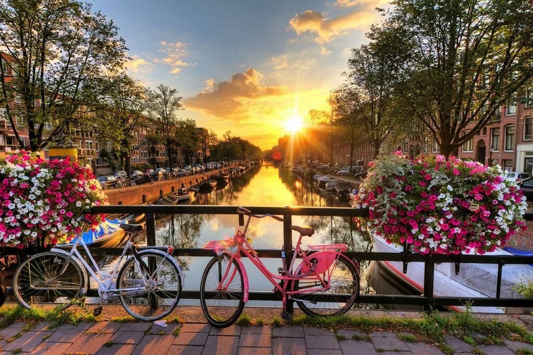 Türk Hava Yolları İle Amsterdam Turu 