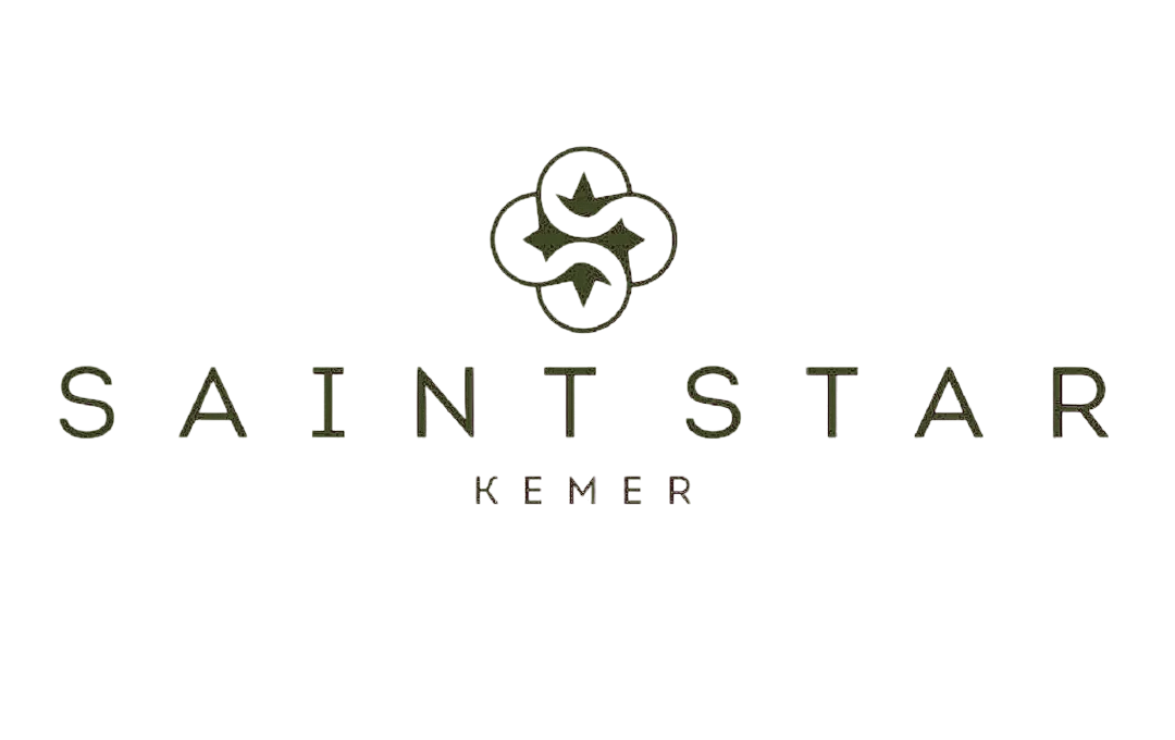 The Saint Star Hotel